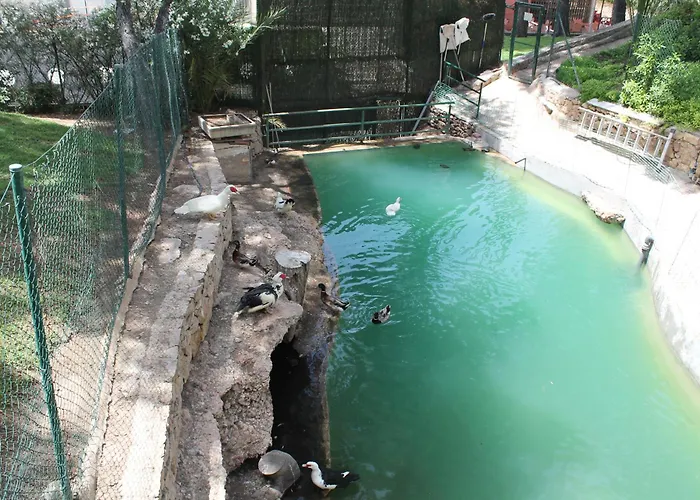 Bonito Piso Levante Benidorm